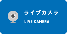 河川ライブカメラ