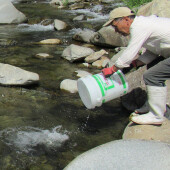 4月25日放流時間変更のお知らせ