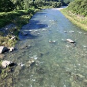 2025.8.18 川の様子