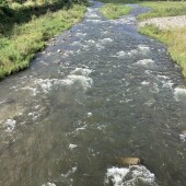 2025.9.5  川の様子　⭐︎追記あり