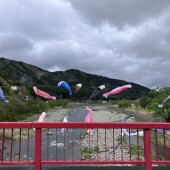明日5月2日アマゴ釣り大会！