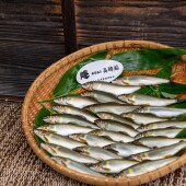 試し釣り