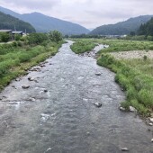 本流入れます！