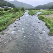 動画公開されました！