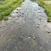 網の解禁について