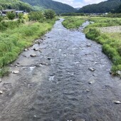 好調です