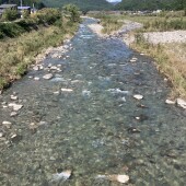 河川状況