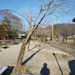 Thumbnail of post image 022