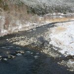 Thumbnail of post image 009