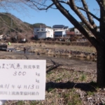 Thumbnail of post image 151