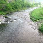 Thumbnail of post image 146