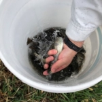 Thumbnail of post image 003