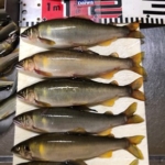 Thumbnail of post image 048