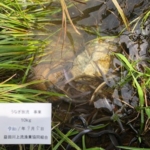 Thumbnail of post image 168