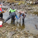 Thumbnail of post image 160