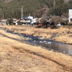 Thumbnail of post image 181