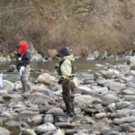 Thumbnail of post image 142