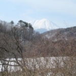 Thumbnail of post image 044