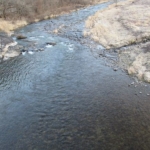 Thumbnail of post image 031