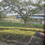 Thumbnail of post image 165