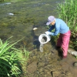 Thumbnail of post image 038