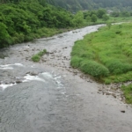 Thumbnail of post image 008