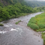 Thumbnail of post image 146