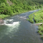 Thumbnail of post image 100