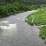 Thumbnail of post image 112