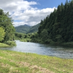 Thumbnail of post image 040