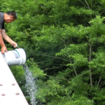 Thumbnail of post image 137