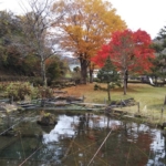 Thumbnail of post image 041