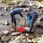 Thumbnail of post image 028