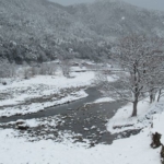 Thumbnail of post image 052