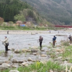 Thumbnail of post image 034