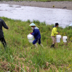 Thumbnail of post image 120