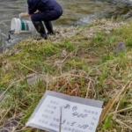 Thumbnail of post image 026