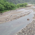 Thumbnail of post image 111