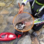 Thumbnail of post image 003