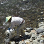 Thumbnail of post image 055