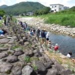 Thumbnail of post image 189