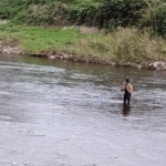 Thumbnail of post image 193