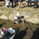 Thumbnail of post image 166