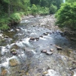 Thumbnail of post image 097