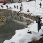 Thumbnail of post image 143