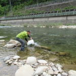 Thumbnail of post image 136