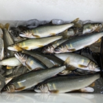 Thumbnail of post image 142