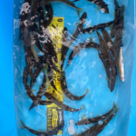 Thumbnail of post image 105