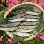 Thumbnail of post image 159