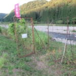 Thumbnail of post image 134